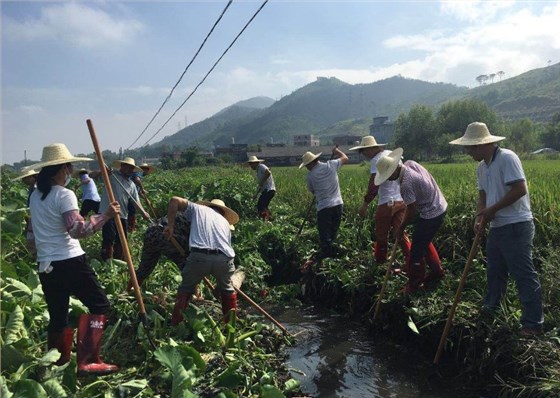 广告抽纸|广告抽纸定制|广告抽纸定制厂家