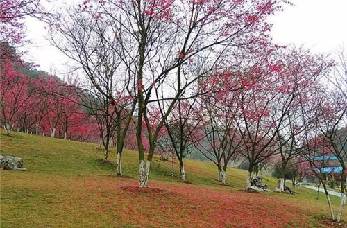 五一假期指南|好印象五一假期|南宁市好印象五一节 五一假期指南|好印象五一假期|南宁市好印象五一节